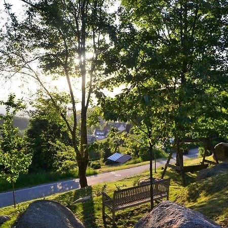Апартаменти Bergweide 36 Засбахвальден Екстер'єр фото